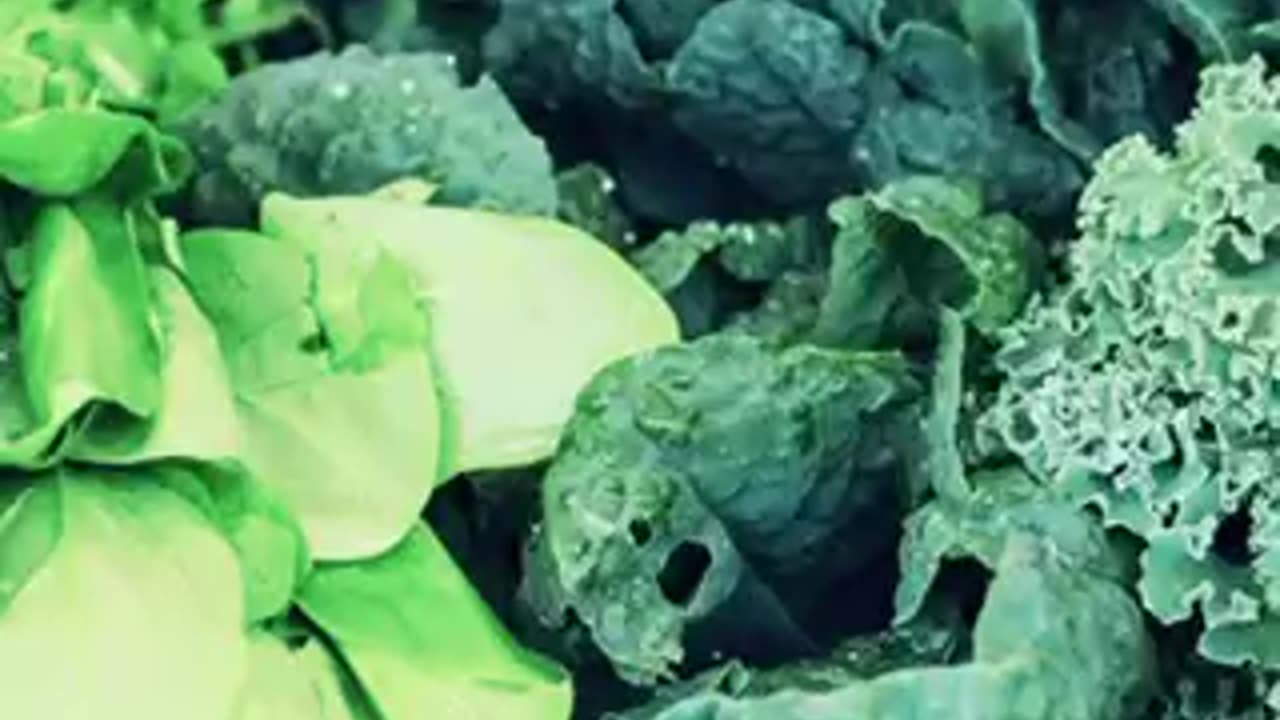 4 raw superfood powders to boost your immune system