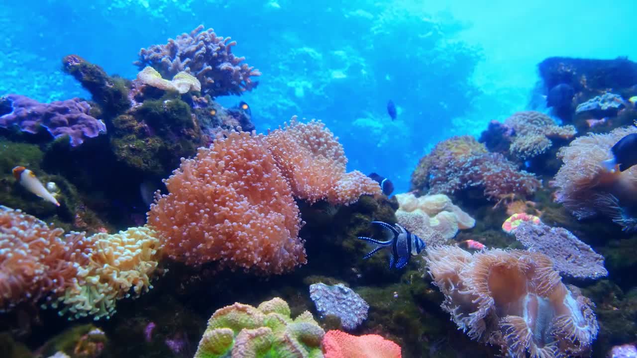 Beauty of sea