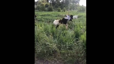 Funny Moments Of The Year Compilation