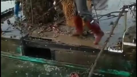 This Is How Oysters Raised in Farm
