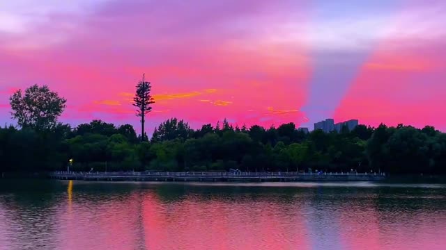 Scenery by the lake