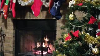 Fire place warmth