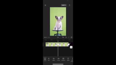 How to Edit Video Clips_CapCut