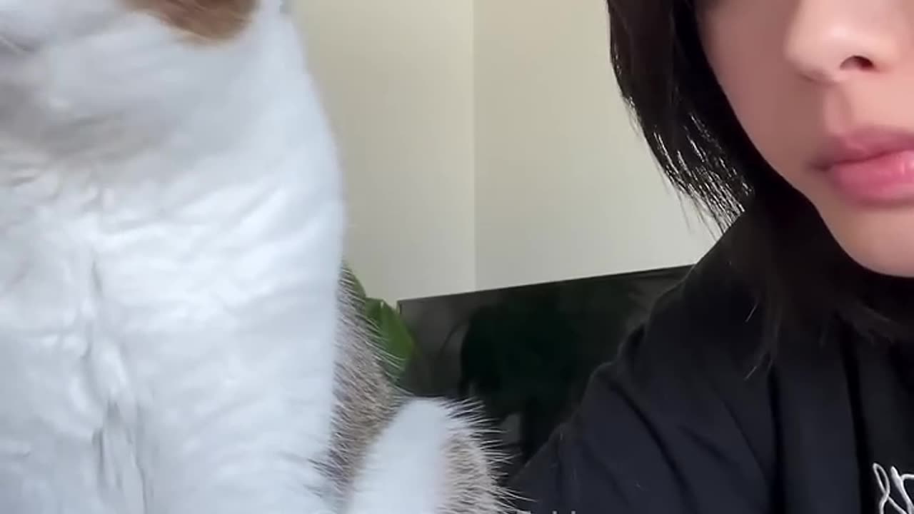 Funny video