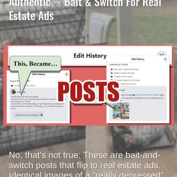 Fact Check: Posts With Same Lost Dog In Multiple Cities Are NOT Authentic -- Bait & Switch For Ads