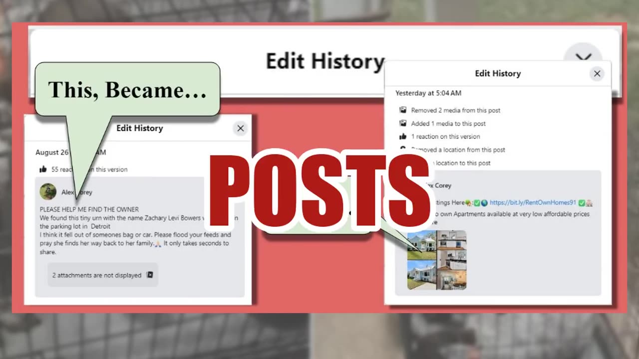 Fact Check: Posts With Same Lost Dog In Multiple Cities Are NOT Authentic -- Bait & Switch For Ads