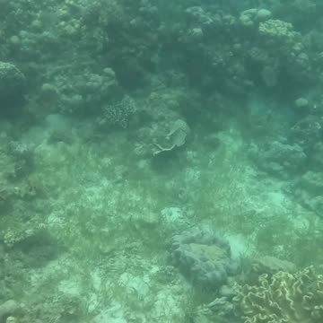 Perfect Day for a Snorkeling Adventure!