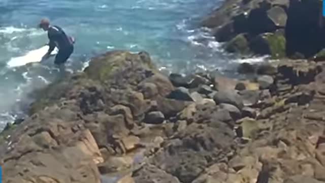 They probably didn’t read the cons of surfing and chose the worst way to surf 🏄♀️😂🤣