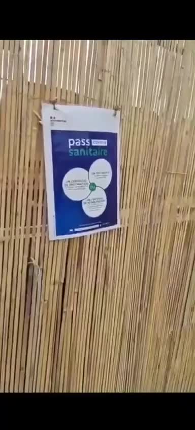 Covid Passport Poster Printed Jan. 2020? [France]