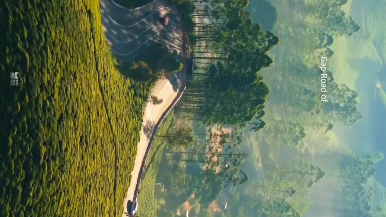 Amazon jungle #in short #video