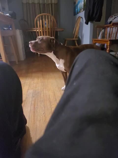 She's mad because I didn't do the dishes, I think it's a bit uncalled for.