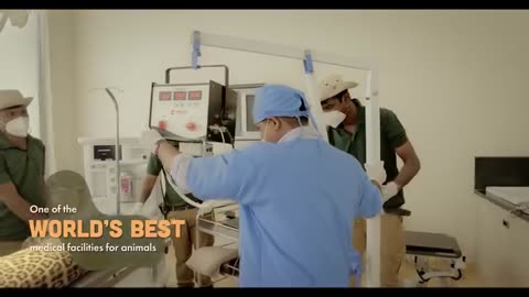 Vantra animal video