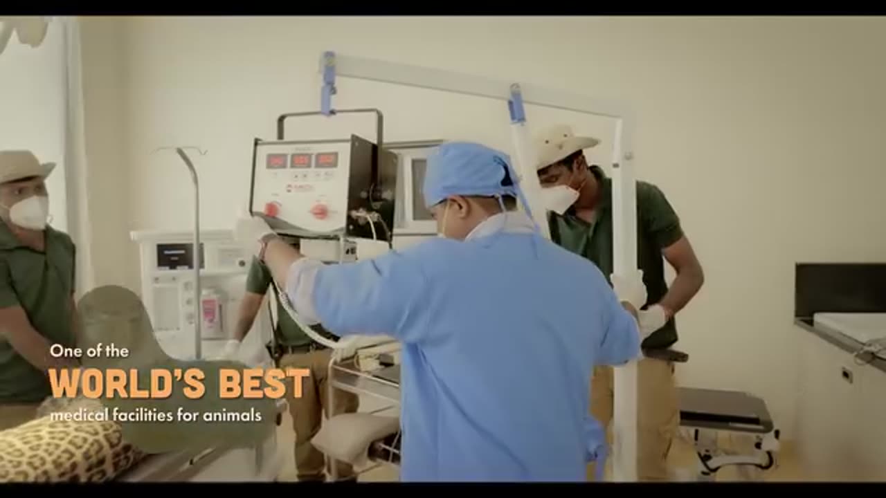 Vantra animal video