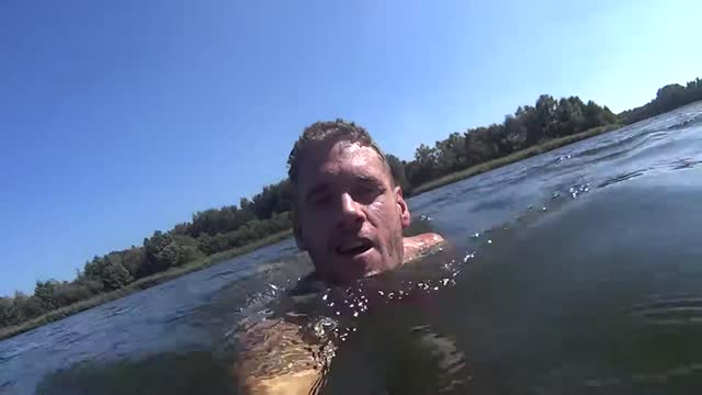 Taking a dive 1