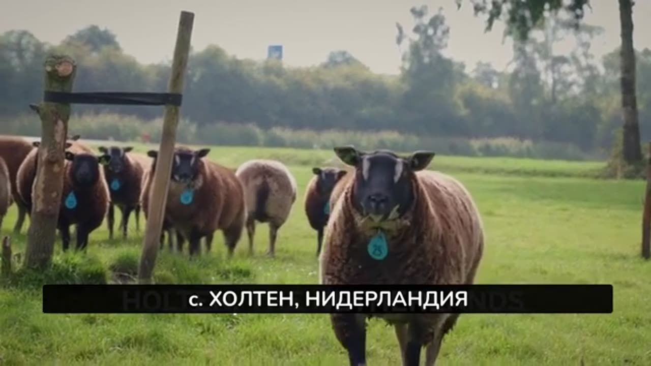 Без фермери няма храна. Ще ядеш ли буболечки?