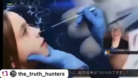 The Crazy Future of Humanity