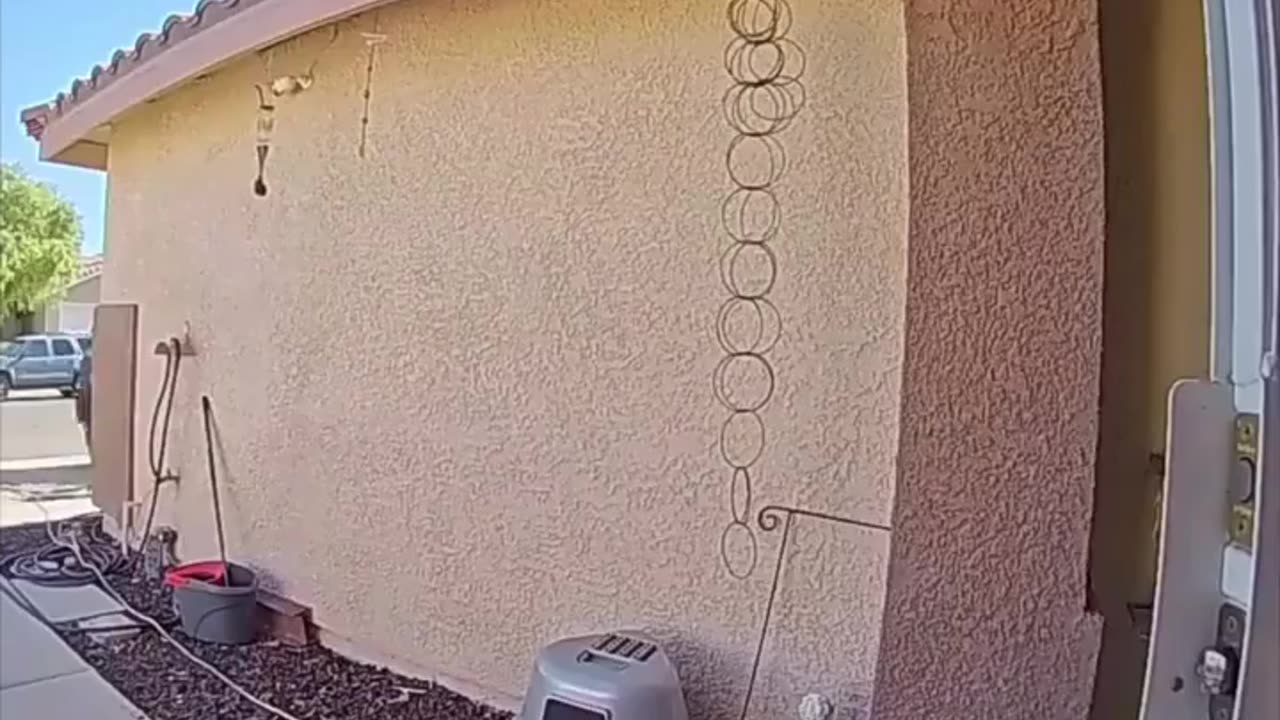 PHOENIX, AZ: Man passing out flyers for Kamala Harris steals a scooter off a homeowners porch