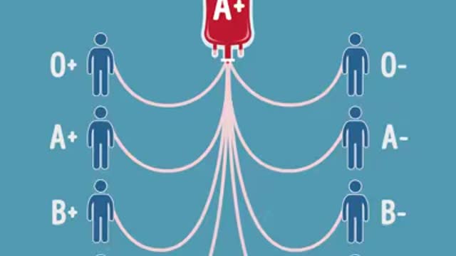 Blood Group