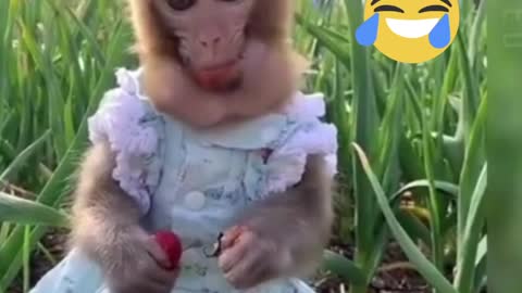 CUTE ANIMAL VIDEOS🤣SO FUNNY