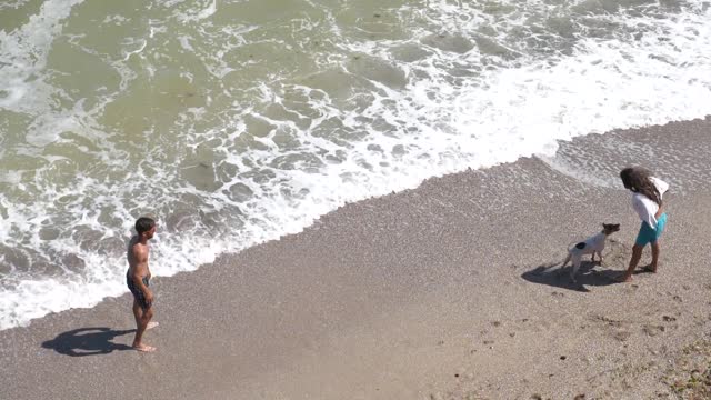 This cute dog plays soccer on the beach