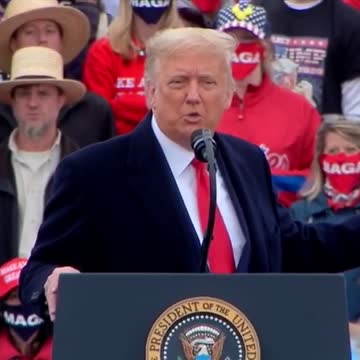 Barack Obama draws flies