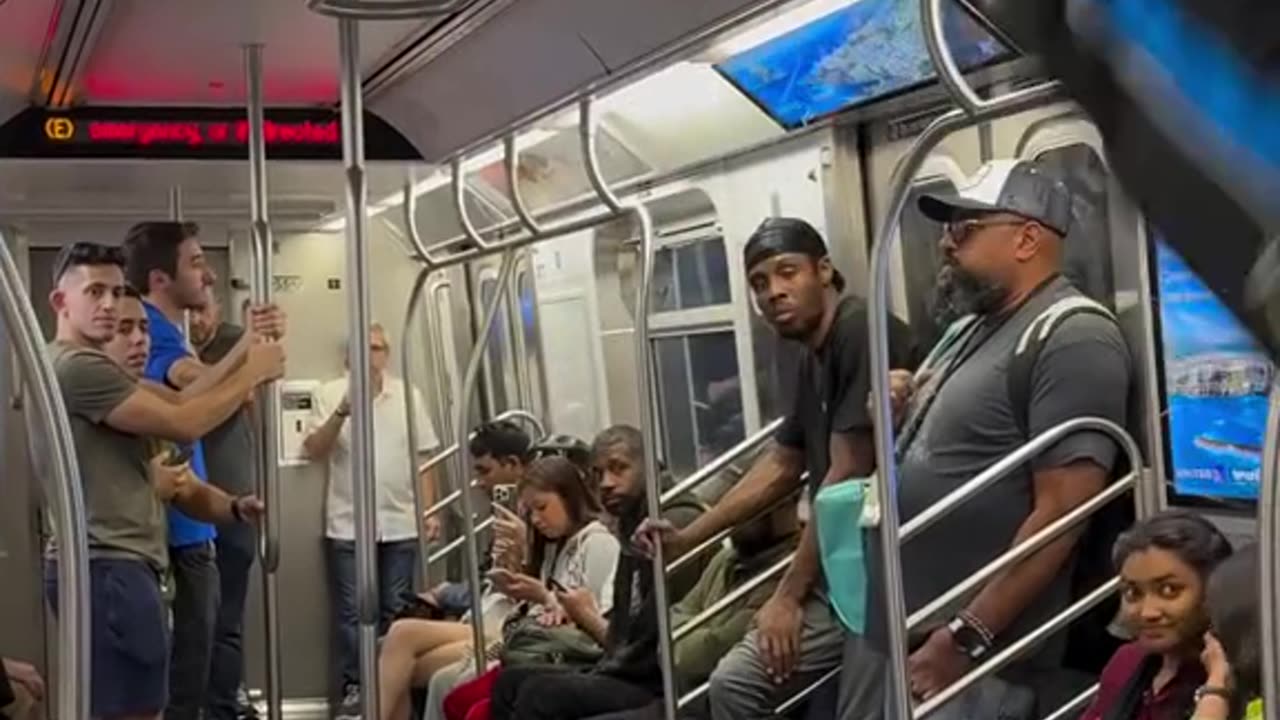 Average day on the NYC subway