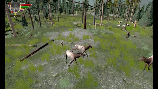 WolfQuest AE Elk Round Challenge - 15