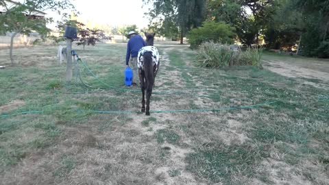 Arkeo leading #2