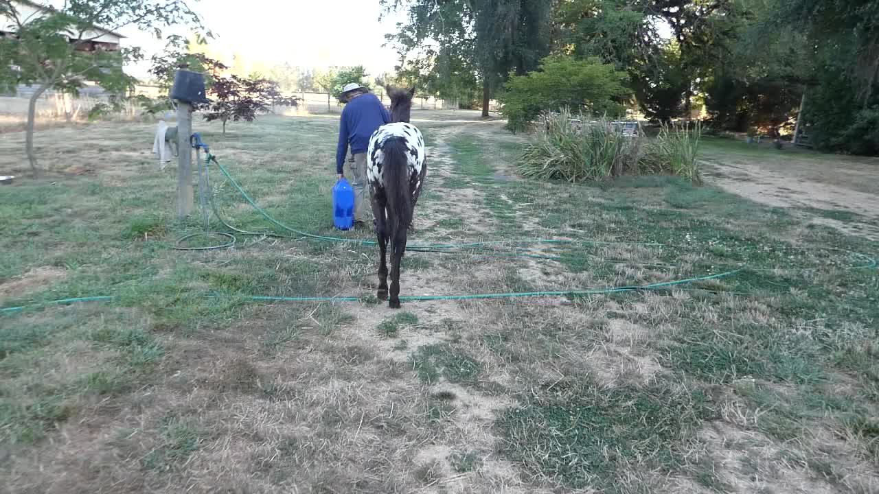 Arkeo leading #2