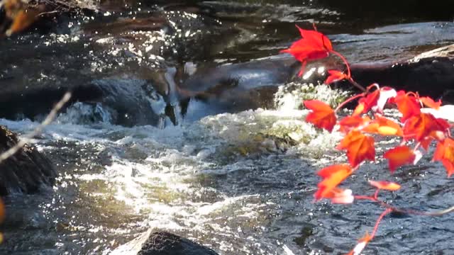 Relaxing River Sounds