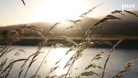 Slow Times Over Here Relaxing Music Rock Calm Electric Guitar Music