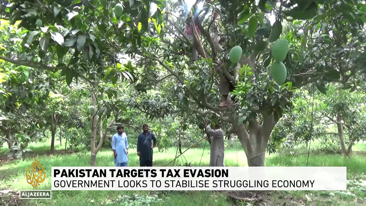 Pakistan targets tax evasion: Government looks to stabilize struggling economy