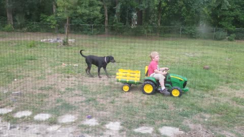 Boy gets mad, kicks tractor