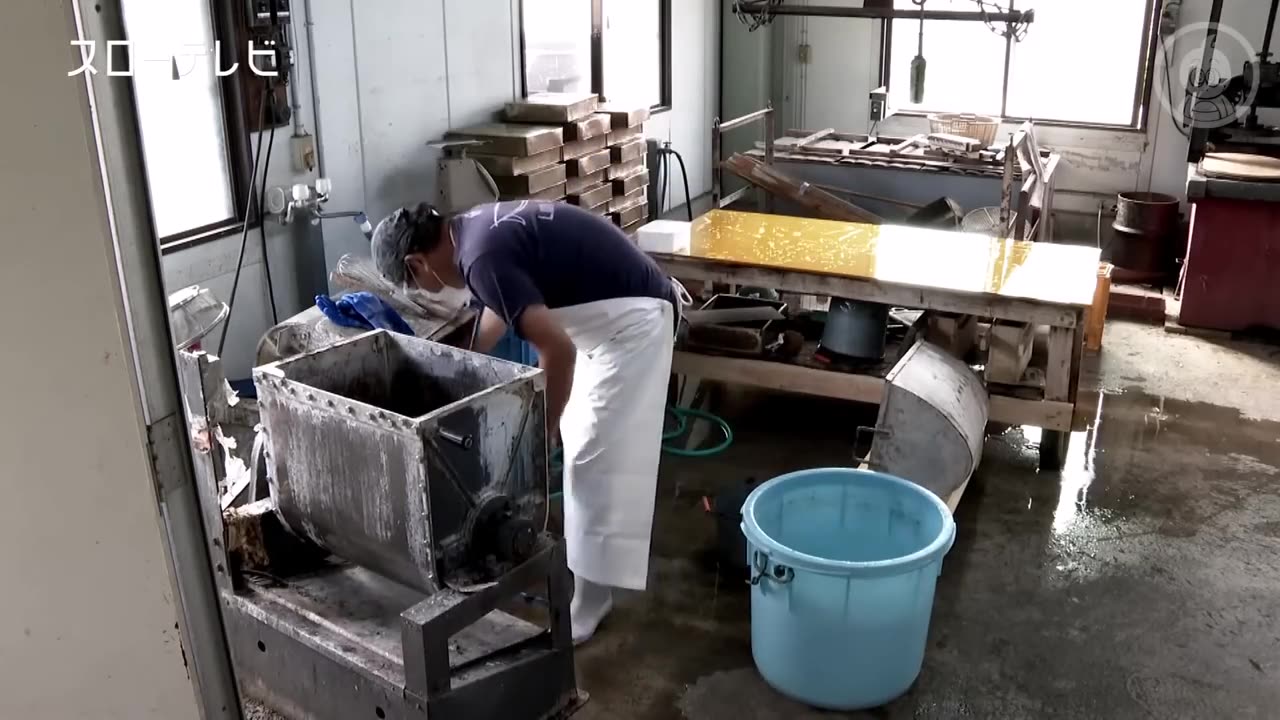 How Japanese Farmer Make Sponge From Konjac Potato - Konjac Potato Farming and Harvesting Technique