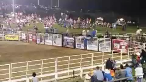 Long star rodeo