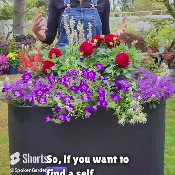 Easier Plant Care With This Container