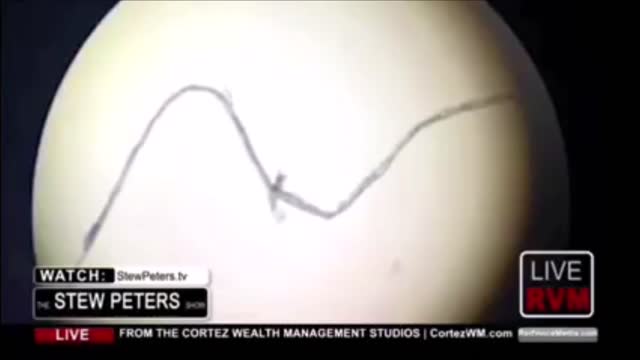 BREAKING : FABRIC & METALLIC OBJECTS FOUND IN COVID VACCINES !! TNTV