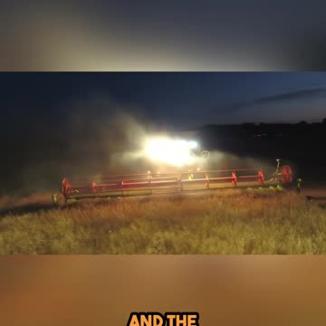 Harvesting 101 Tips for Picking Perfect Produce