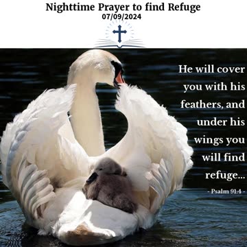 Nighttime Prayer to find Refuge #youtubeshorts #grace #jesus #mercy #faith #fyp #bless #trust #love