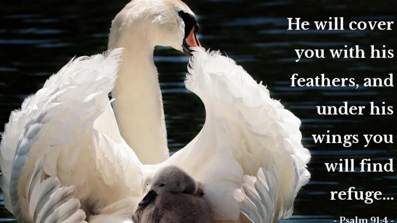 Nighttime Prayer to find Refuge #youtubeshorts #grace #jesus #mercy #faith #fyp #bless #trust #love