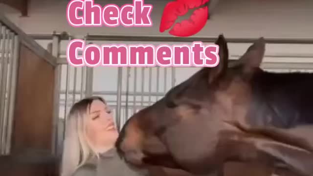 Horse 😎 😂 #funny #horse #girl #shorts #cats #cute #trend #crazy #reels #women #dog