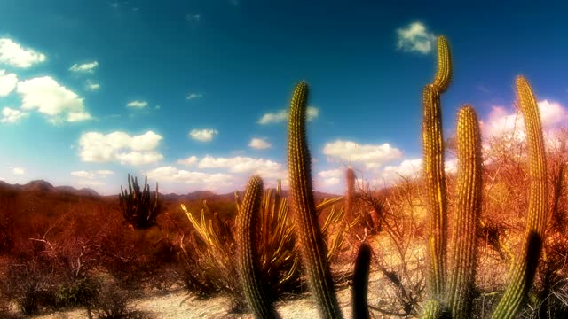 Beautiful desert landscape timelapse