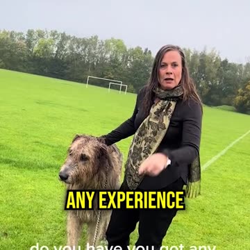 This Karen Needs to Get Her Dog Under Control