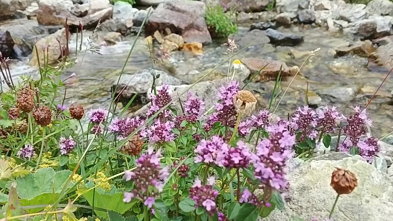 VIEWS FROM THE PLATEAU-99