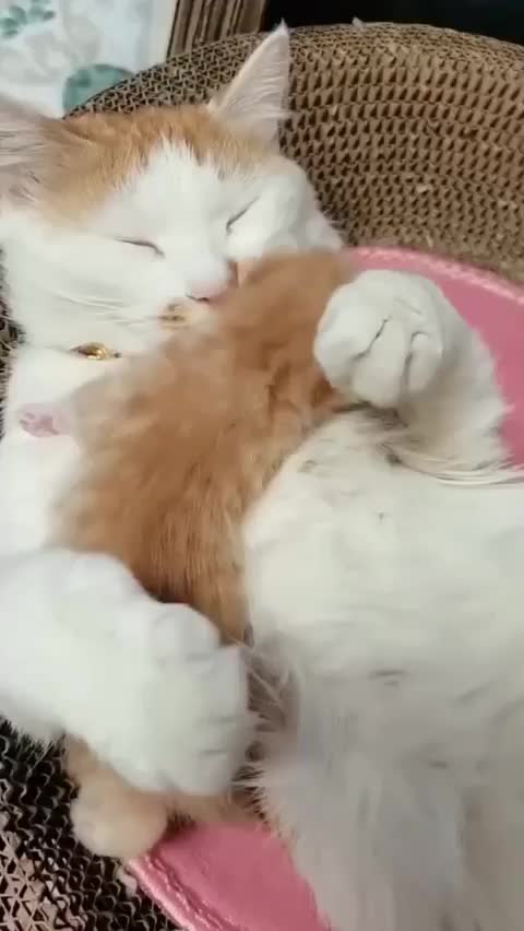 È l'amore la cosa più potente che esista