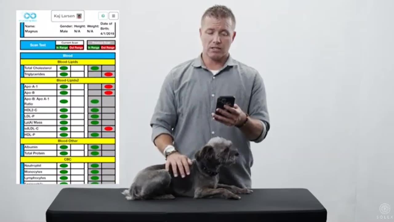 How To Do A Solex Pet Scan
