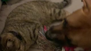 June and Bella