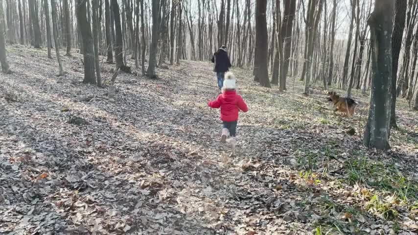 Baby_Girl_Walks_With_a_German_Shepherd_in_the_Forest_for_the_First_Time