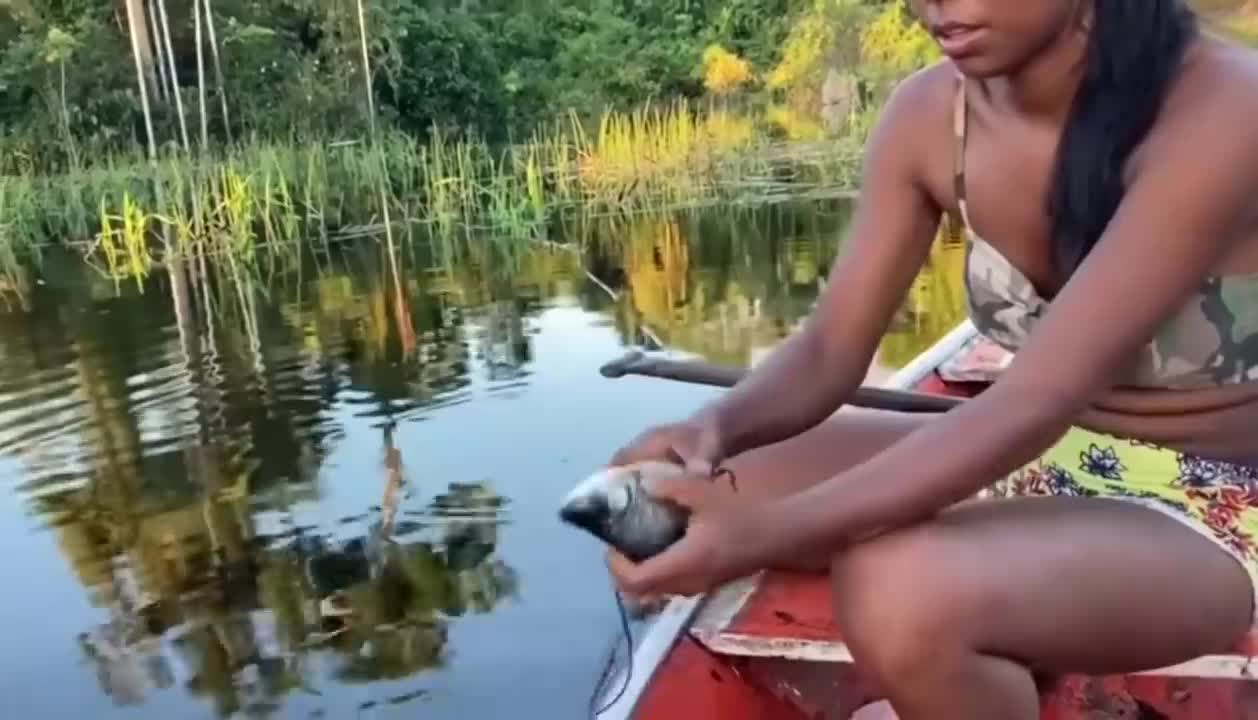 Fishing with malhadeira in the Amazon rainforest/Brazil