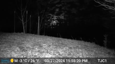 Possum and Pretty Moon